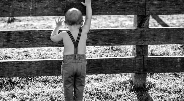 Família de Murilo e família