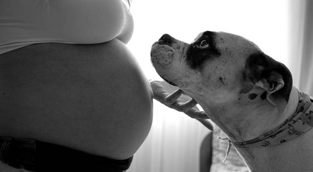 Ensaio Gestante de À espera da Yasmin