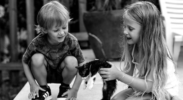 Aniversário Infantil de Bento 4