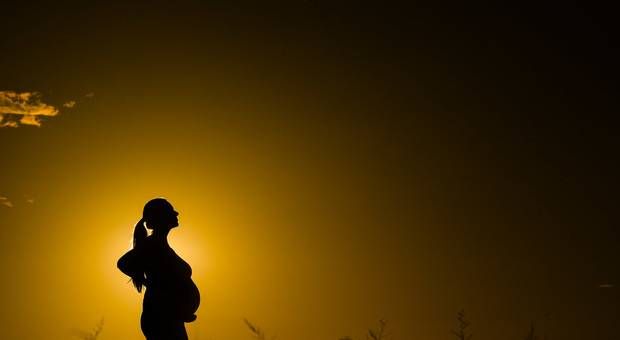 Ensaio Gestante de A doce espera do Felipe