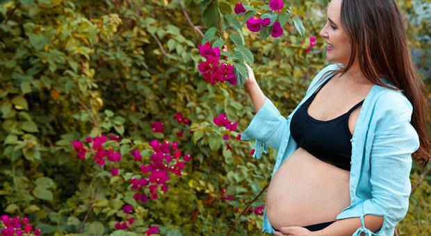 Gestante de Ensaio Gestante da Cristiane