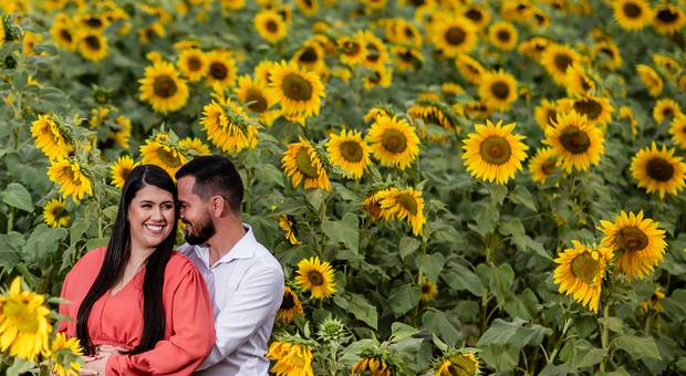 Ensaios de Rafael e Roberta Pré-Wedding