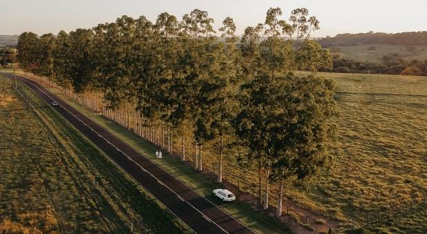 Pré Wedding de Pré Wedding em Presidente Prudente Giulia e Vitor 