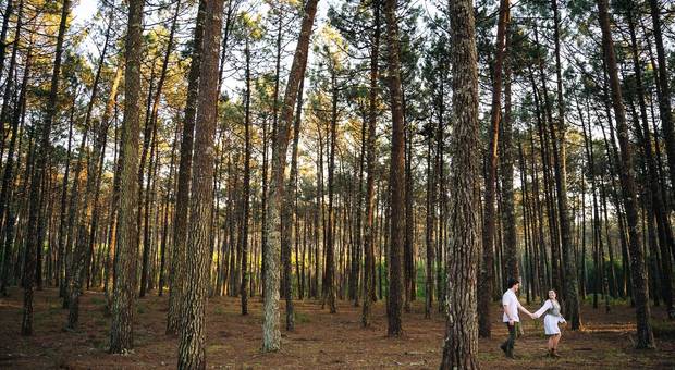 SOLTEIROS de LUÍSA E PEDRO