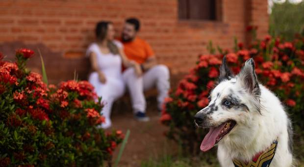 Pré-Wedding de Maíra e Maurício