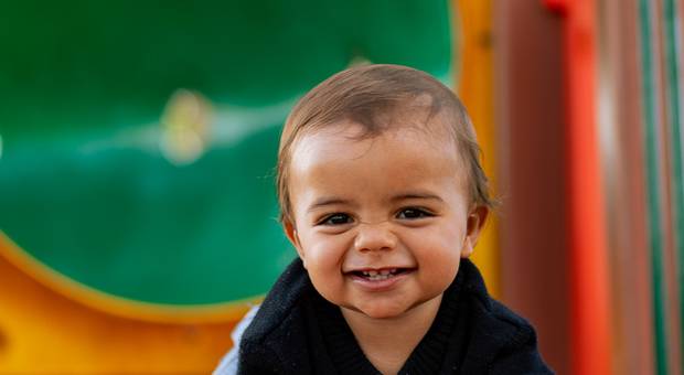 Ensaios de Pedro Lucas