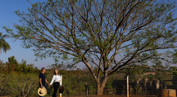 Pré-Wedding de Mariana e Roberto