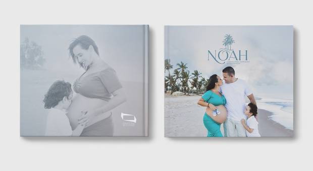 LIVRO ART de LIVRO ART - NOAH CHEGOU PARA COMPLETAR NOSSA FAMILIA