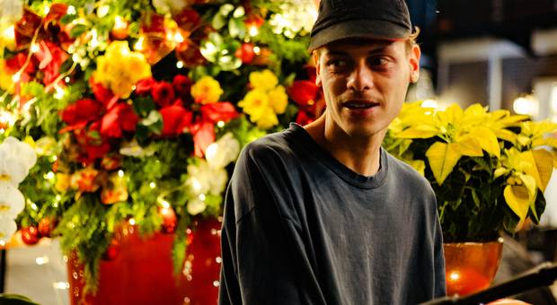 MAKING OF de Veiling Holambra - Natal