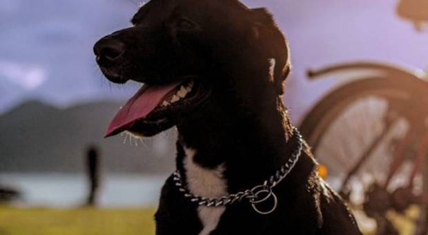 ENSAIOS de ENSAIOS FOTOGRÁFICOS