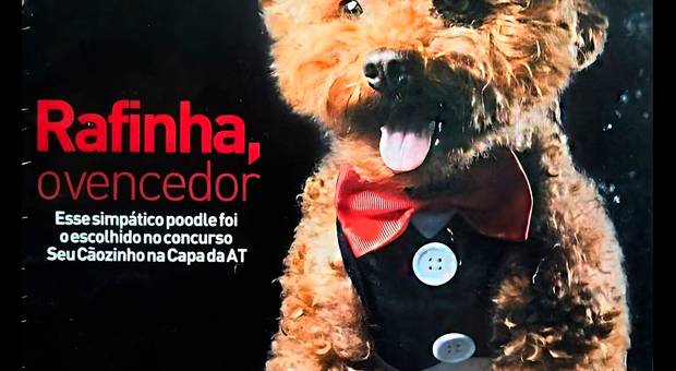 PROJETOS ESPECIAIS de CAPA DE REVISTA 