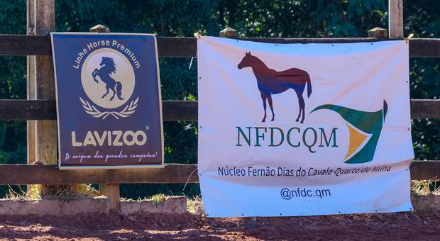 Provas/Campeonatos de Copa Núcleo Fernão Dias do Cavalo Quarto de Milha - Quarta Etapa