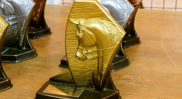 Provas/Campeonatos de Exposição Internacional do Cavalo Árabe
