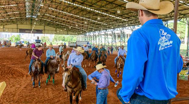 Provas/Campeonatos de Ranch Sorting -