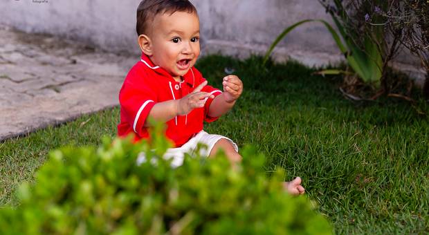 Aniversário  de Levi