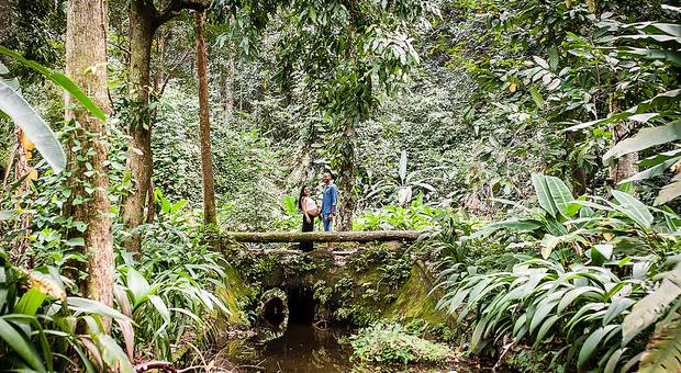 ensaio gestante de ensaio gestante | marianna