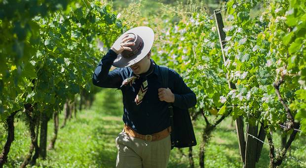 Banco de imagem para Empresas de Jeverson Carelli