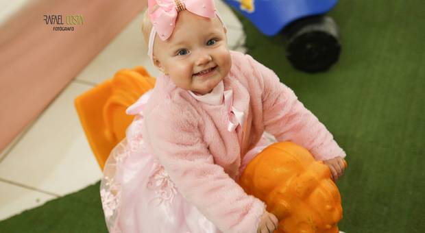 Aniversário Infantil de Sophia - 1 aninho