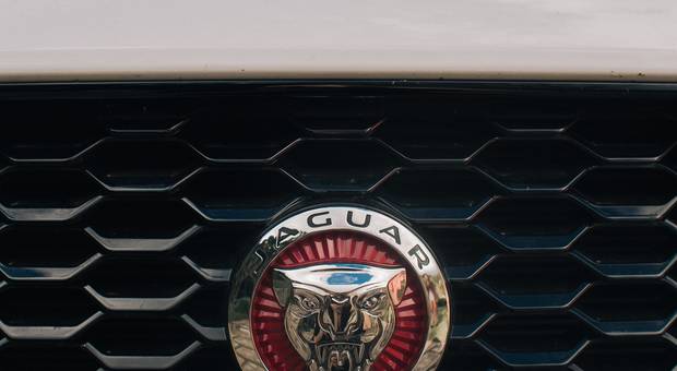 Fashion de JAGUAR Brasil