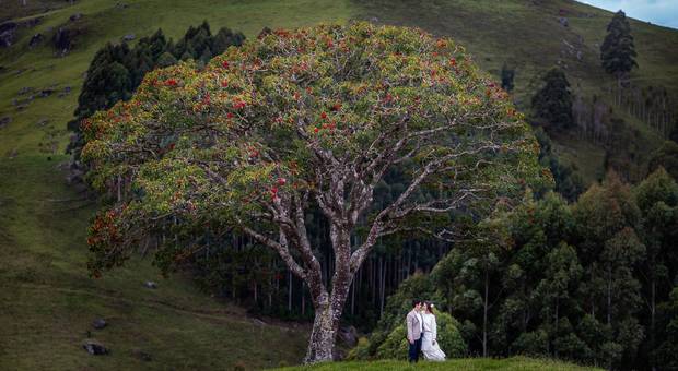 Casamentos de Karla e Marcelo - Casamento civil