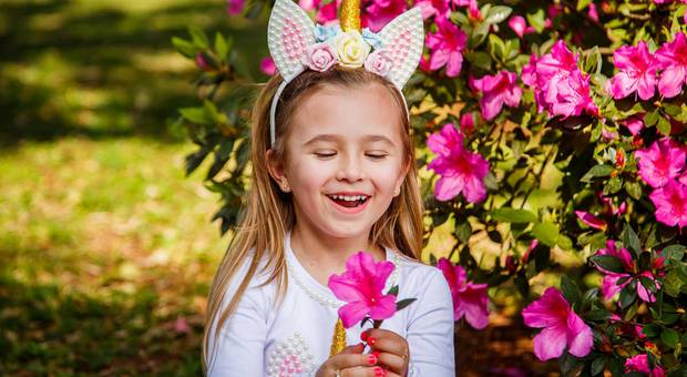 Aniversário de Aniversário Nina!