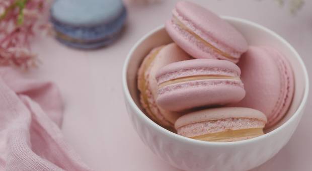 Gastronomia de Macarons Jacar Confeitaria