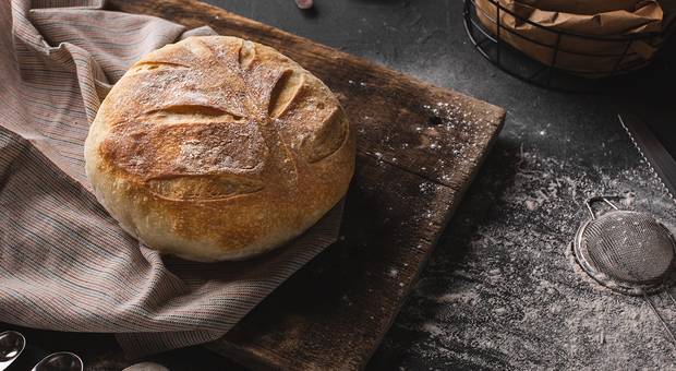 Gastronomia de Pão Quentinho