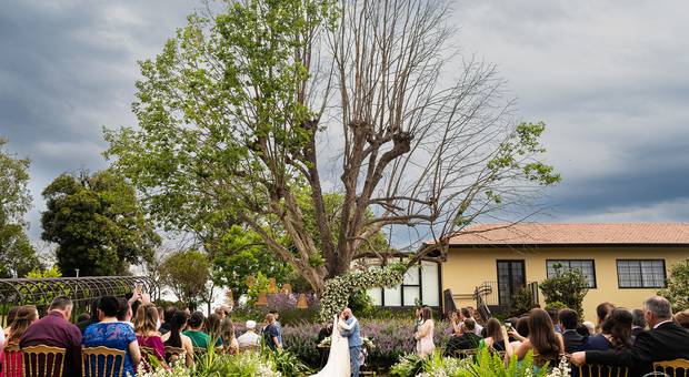 Casamento de Casamento Thai e Julio