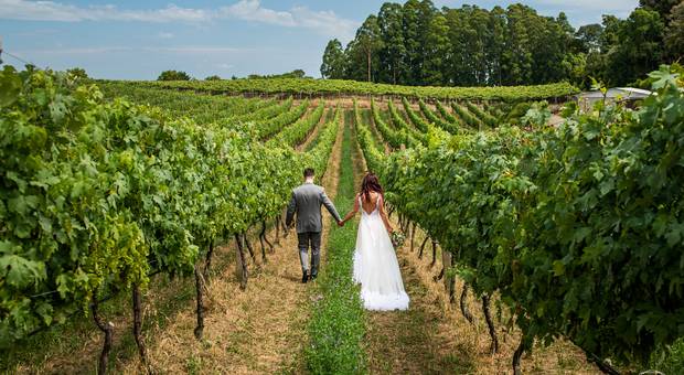Casamento de Casamento na Vinícola | Naty e Matheus