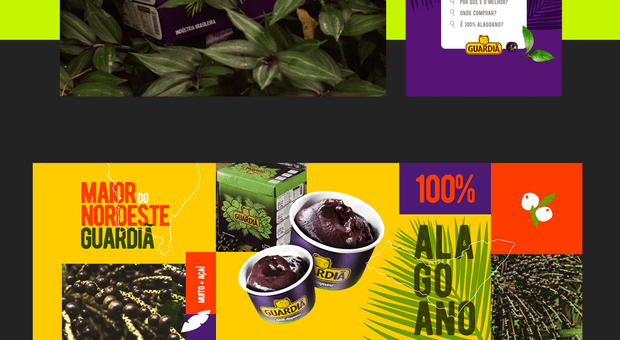 Jobs de Açaí Guardiã