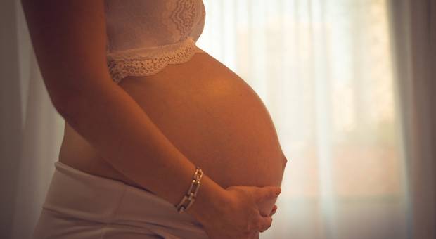 Ensaio Gestante  de À espera de Lis 