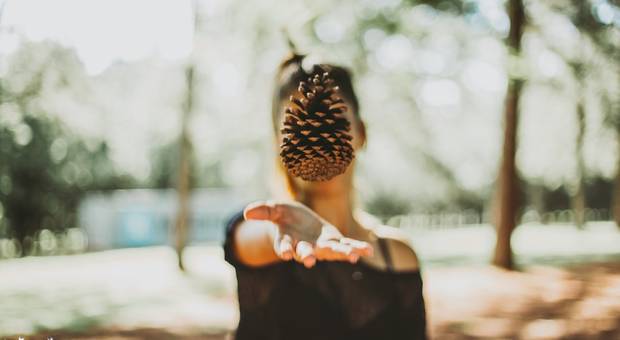 Sessões Fotográficas de Fabíola Mendes - Sessão de Fotos