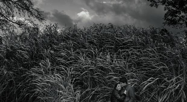 Gestantes de Ensaio Gestante Daniela Barp