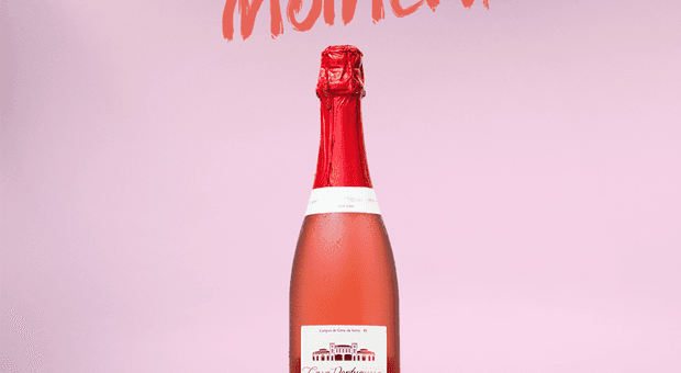 Publicidade de Vinícola Fazenda Santa Rita