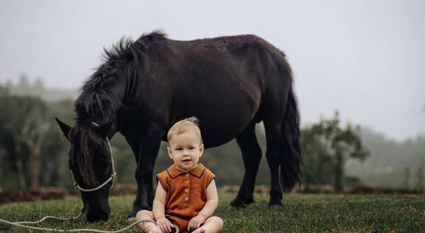 familia de O primeiro ano do Paulo
