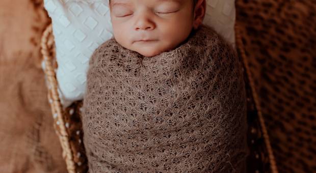 familia de Os primeiros dias do Davi 