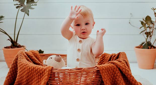 familia de Um aninho do Antony