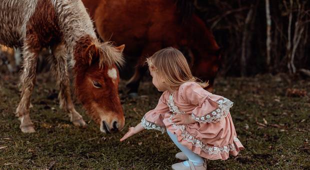familia de Yasmin na fazendinha