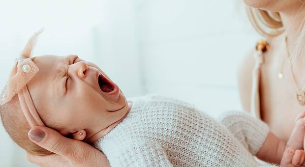 familia de Os primeiros dias da Ana Clara