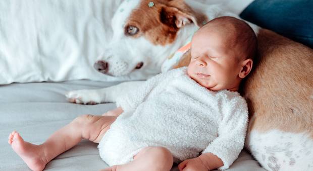 Ensaio Gestante de Os primeiros dias do Gabriel