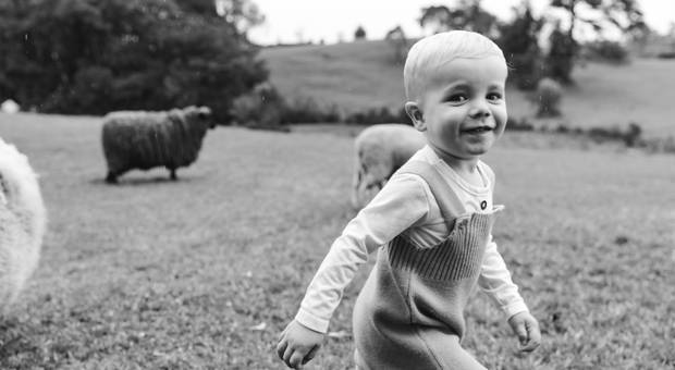 Ensaio Gestante de Dois anos do Theo