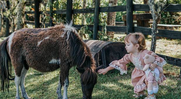 familia de Dois anos da Princesa Helena