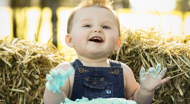 Smash the Cake - Fruit de Artur