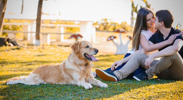 Ensaio CASAL de Peterson e Thais