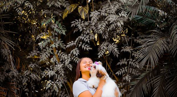 Feminino de Cássia Paludo De Lima e Amora