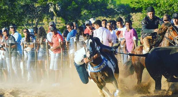 Eventos de Assim é Vaquejada, assim é meu Sertão
