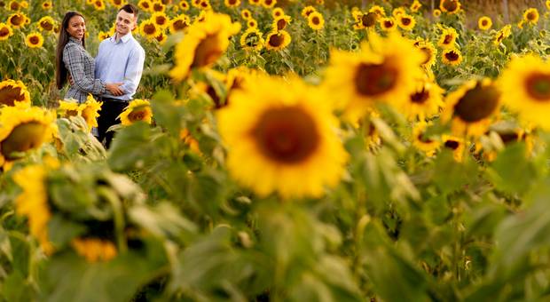 Pré-wedding de Pré-wedding Camila e Robson
