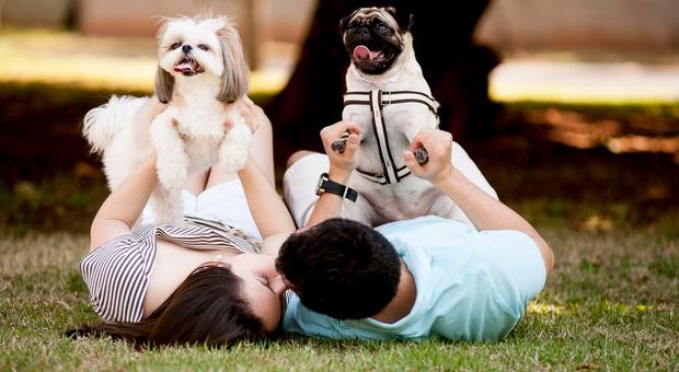 Pré-wedding de Vanessa e Luiz