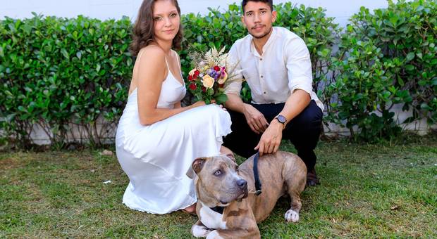 Casamento de Casamento Emily e Leonardo