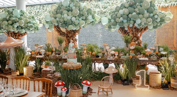 Aniversário  de Théo 1 aninho 